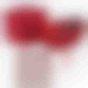 Od dečka za djevojku | JULIET_HEARTS_APPLEROSE