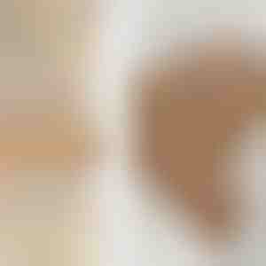 Set prstenova | SPARKLET