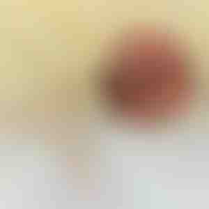 Zlatna Ogrlica Volim Te | LUVION